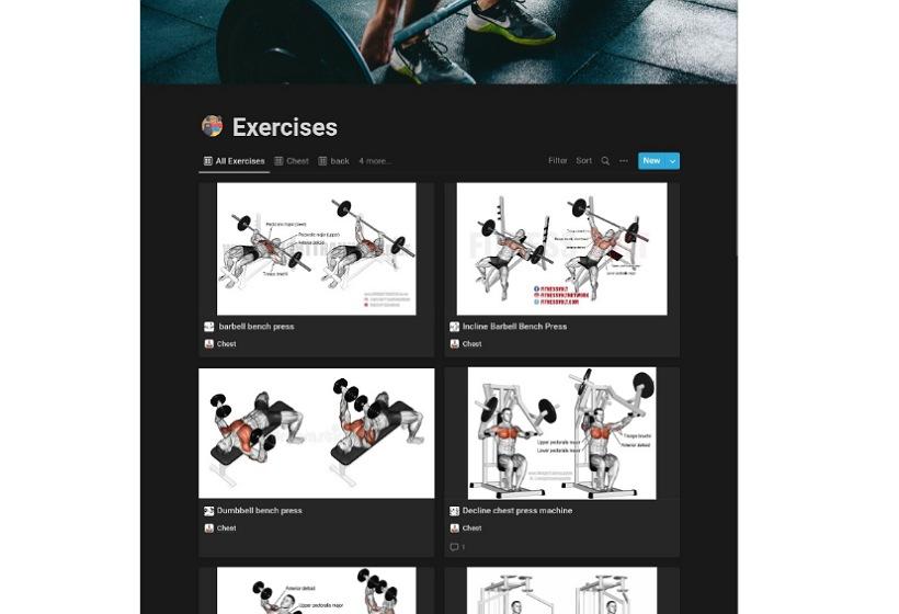 Fitness Hub | متتبع لياقتك البدنية  تقدر تتبع نظامك الغذائي و أساليب تمارينك المختلفه من خلال قالب اللياقة البدنية 